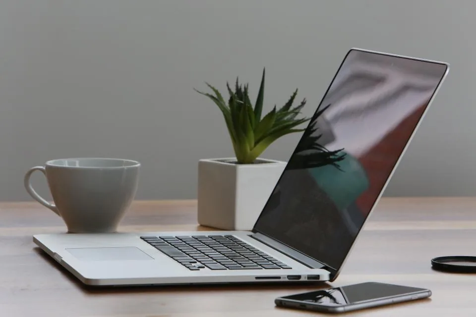 Laptop on a desk next to a cup and a plant